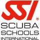 SSI